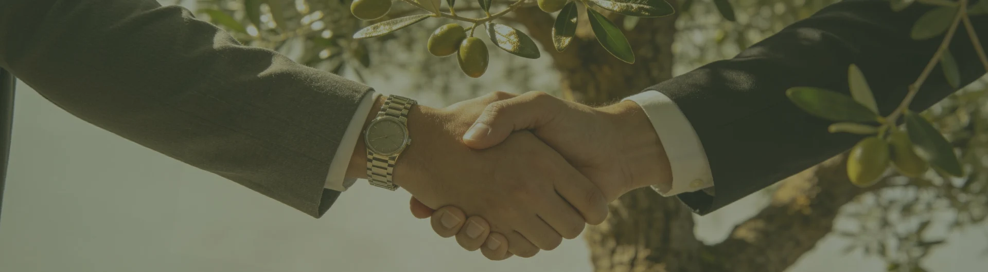 Collaborate with Sharetrade