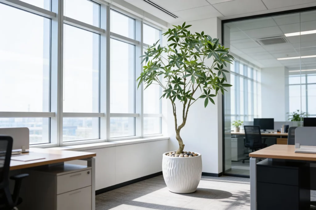 Office Spaces